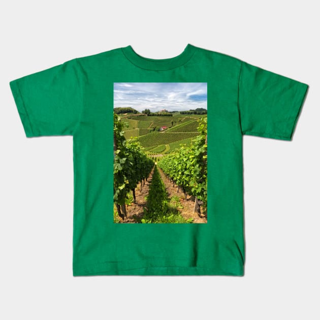 The Vineyard Kids T-Shirt by yairkarelic